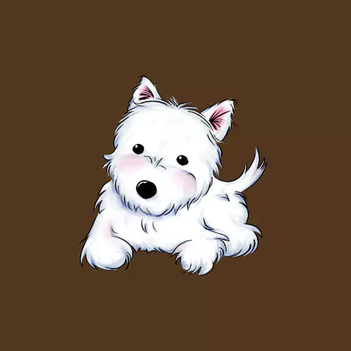 Web Development Company in UK